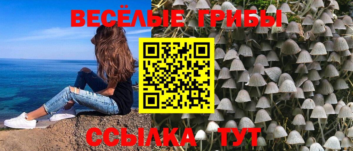 Галлюциногенные грибы прущие грибы  Псилоцибиновые грибы мицелий  Вход с VPN  Ухта 