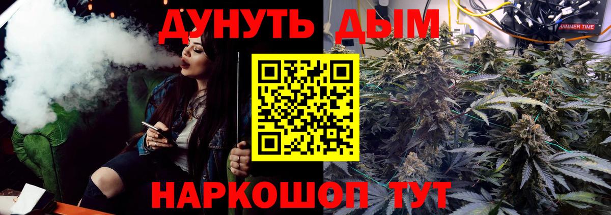 Канабис сатива Ухта